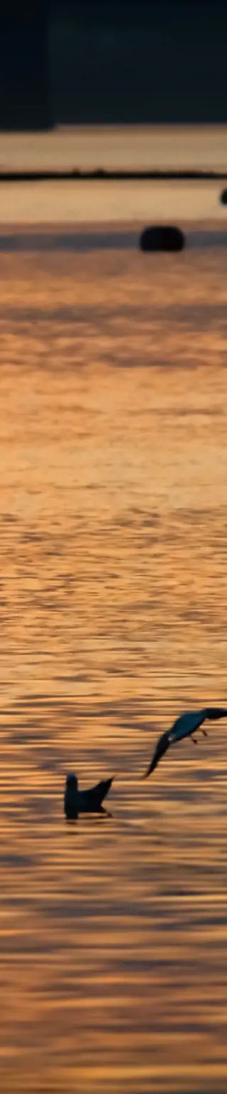 Mit kleinen Flussbooten dem Ganges entlang.